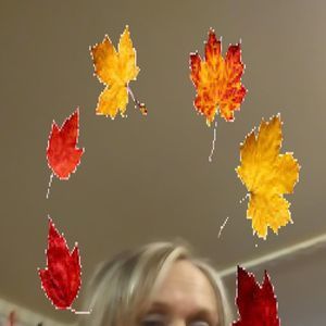 Meet your Posher, Kathleen